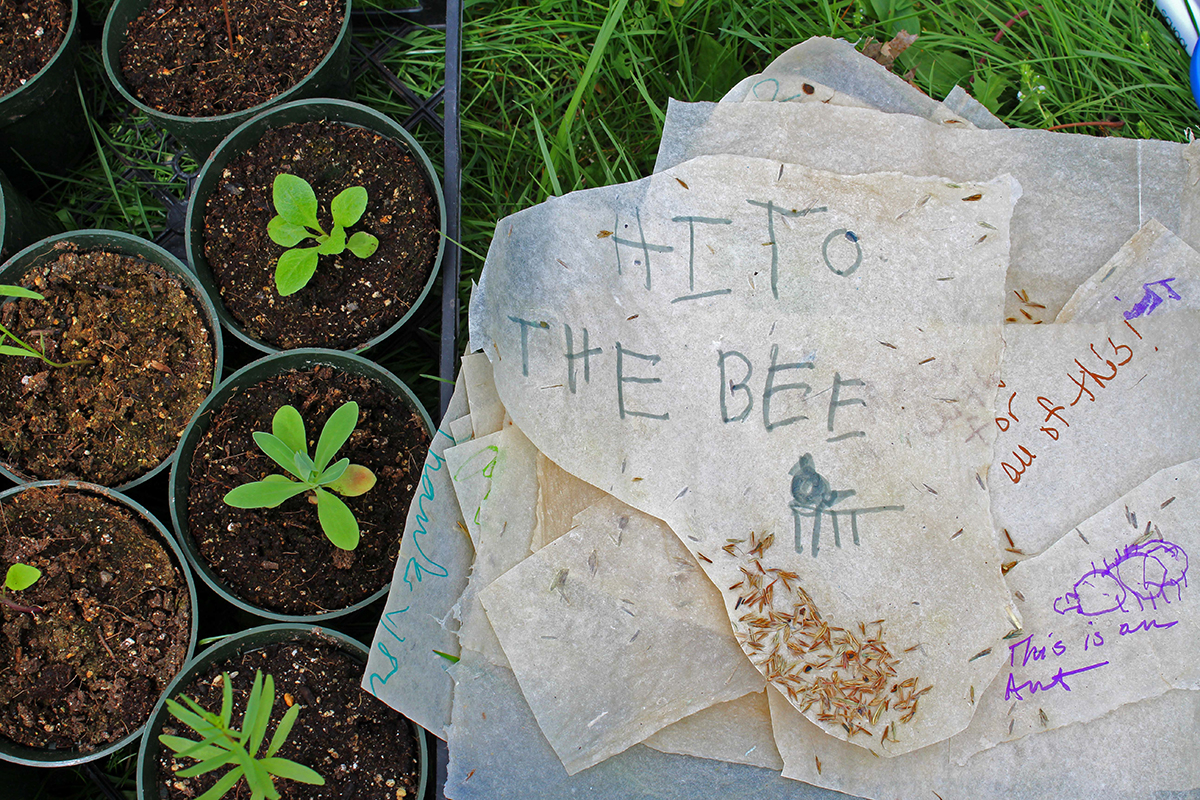 child's writing on seed paper